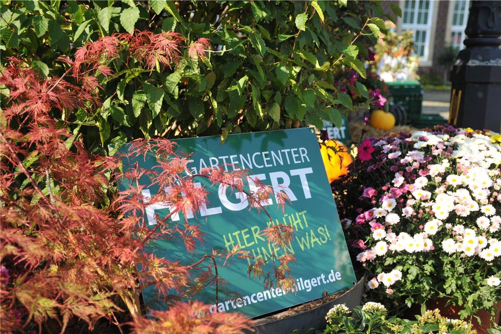 Beim Ahauser Schlosszauber gibt es nicht nur was für Gartenfans zum Staunen. Auch Genussliebhaber und Kunstinteressierte werden hier fündig. Die Messe geht noch bis Sonntag (22.9.).