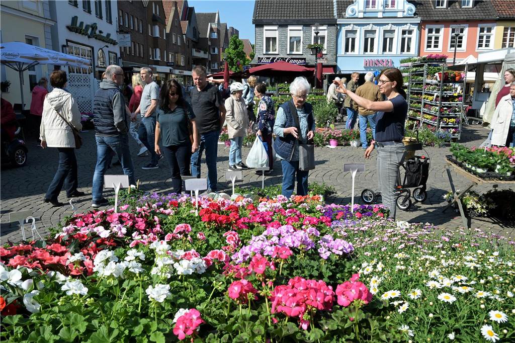 Beim Blumen- und Pflanzenkauf auf dem Markt gab es nicht nur frische Angebote, sondern auch Pflanz- und Pflegetipps von den Expertinnen und Experten gratis dazu. 