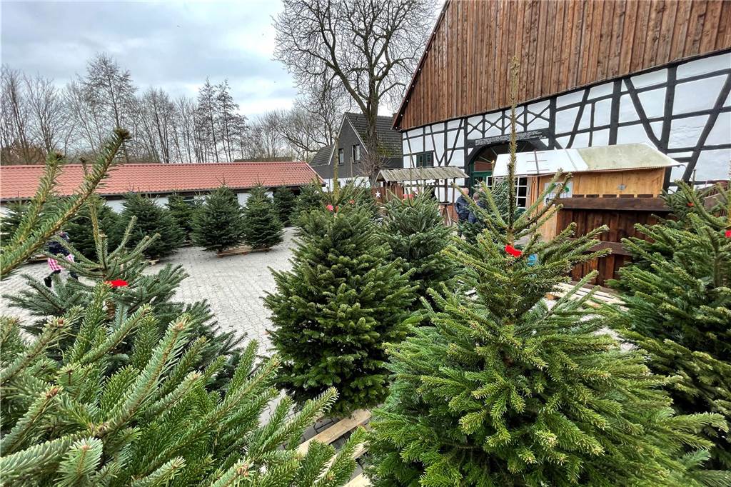 Weihnachtsmärkte und Co.: Der große Überblick von Merklinde bis Meisenhof Beim Hof Menken an der Oststraße in Deininghausen gibt es jedes Jahr Weihnachtsbäume und seit einiger Zeit auch einen Ausschank. 2023 kommt der Nikolaus zu Besuch.