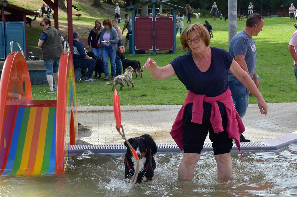 Ein Hund und sein Frauchen spielen im Wasser.