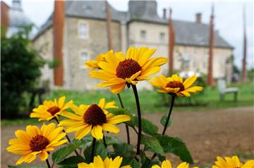 Indian Summer Schloss Lembeck