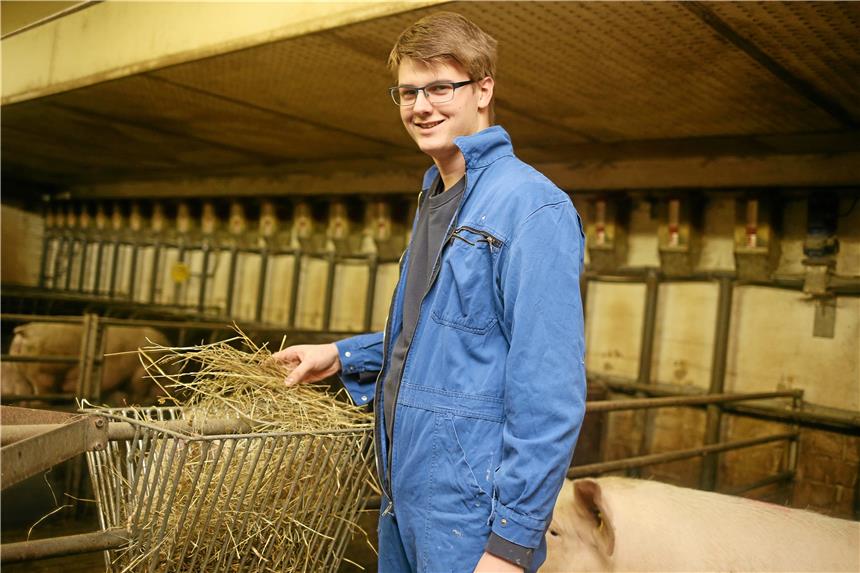 Beim Raufutter gilt es, regelmäßig für Nachschub zu sorgen.