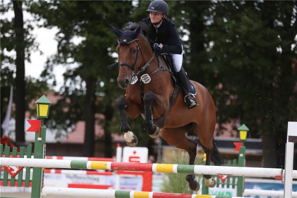 Beim S*-Springen am Freitag und M*-Springen am Samstag stellten auch viele Lokalmatadoren wie Silvia und Lutz Gripshöver, Stephan Schwert (alle RFV St. Georg Werne), Niklas Braun, Rainer Peter (beide ZRFV Lützow Selm-Bork-Olfen), Frieda Heinrich und Marie Ligges (beide RFV von Nagel Herbern) ihr Können unter Beweis.
