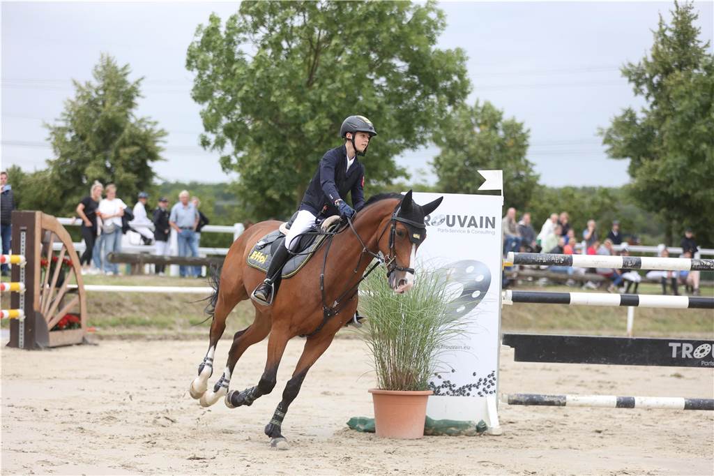 Beim S*-Springen am Freitag und M*-Springen am Samstag stellten auch viele Lokalmatadoren wie Silvia und Lutz Gripshöver, Stephan Schwert (alle RFV St. Georg Werne), Niklas Braun, Rainer Peter (beide ZRFV Lützow Selm-Bork-Olfen), Frieda Heinrich und Marie Ligges (beide RFV von Nagel Herbern) ihr Können unter Beweis.