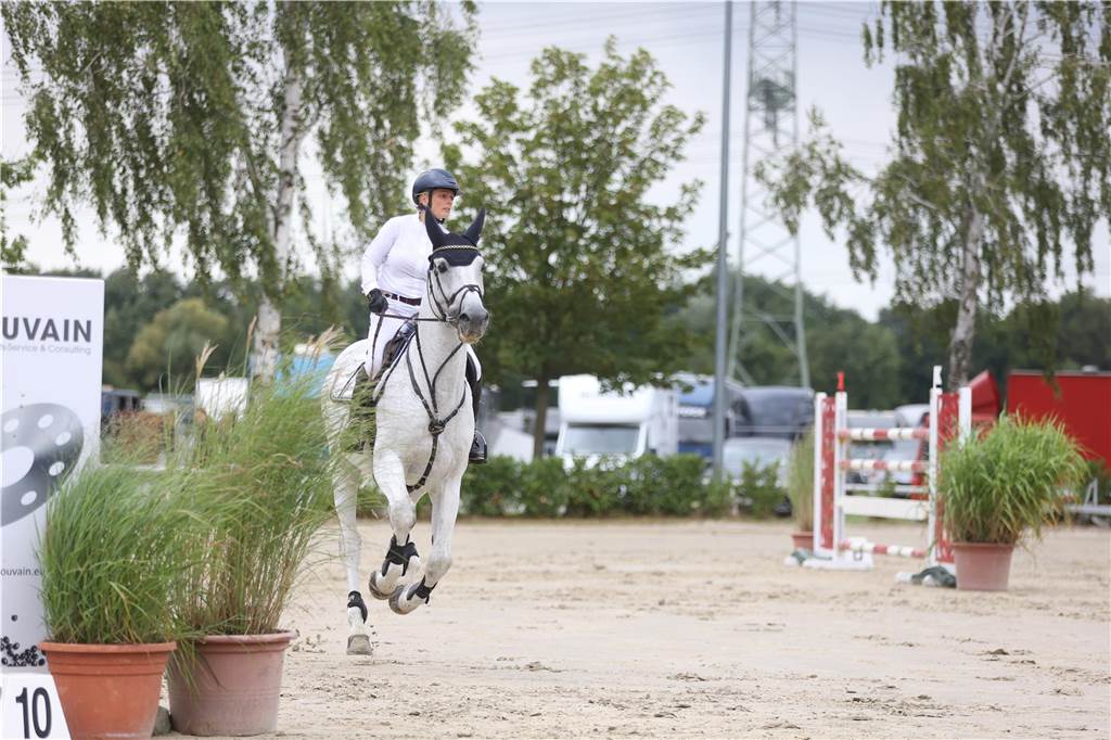Beim S*-Springen am Freitag und M*-Springen am Samstag stellten auch viele Lokalmatadoren wie Silvia und Lutz Gripshöver, Stephan Schwert (alle RFV St. Georg Werne), Niklas Braun, Rainer Peter (beide ZRFV Lützow Selm-Bork-Olfen), Frieda Heinrich und Marie Ligges (beide RFV von Nagel Herbern) ihr Können unter Beweis.
