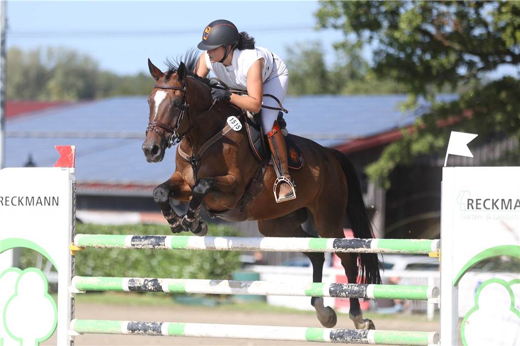 Beim S*-Springen am Freitag und M*-Springen am Samstag stellten auch viele Lokalmatadoren wie Silvia und Lutz Gripshöver, Stephan Schwert (alle RFV St. Georg Werne), Niklas Braun, Rainer Peter (beide ZRFV Lützow Selm-Bork-Olfen), Frieda Heinrich und Marie Ligges (beide RFV von Nagel Herbern) ihr Können unter Beweis.