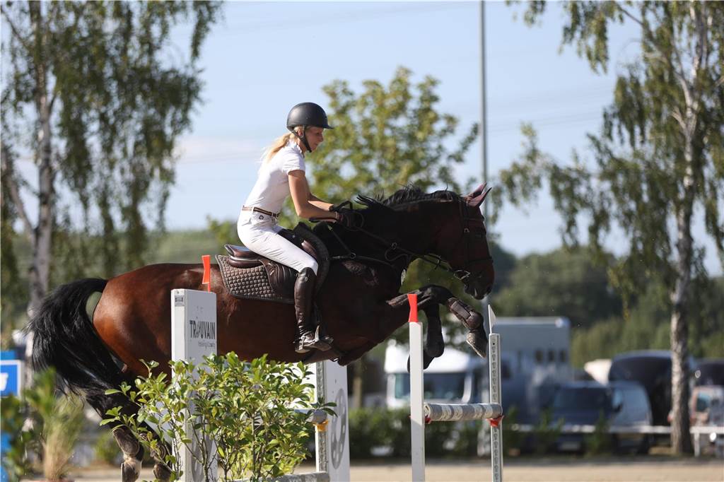 Beim S*-Springen am Freitag und M*-Springen am Samstag stellten auch viele Lokalmatadoren wie Silvia und Lutz Gripshöver, Stephan Schwert (alle RFV St. Georg Werne), Niklas Braun, Rainer Peter (beide ZRFV Lützow Selm-Bork-Olfen), Frieda Heinrich und Marie Ligges (beide RFV von Nagel Herbern) ihr Können unter Beweis.