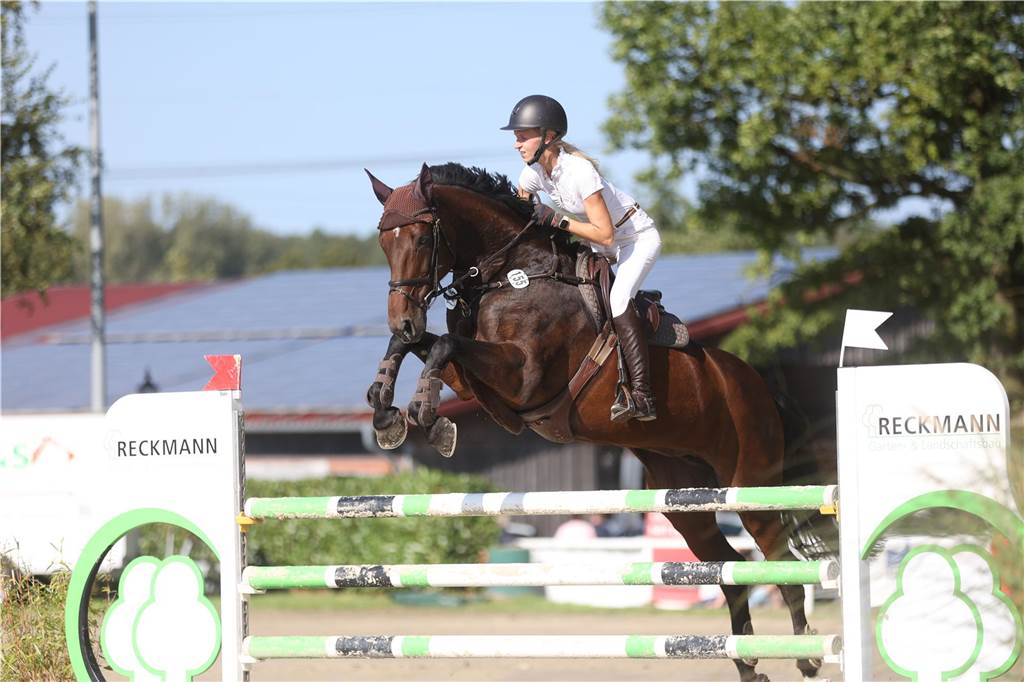 Beim S*-Springen am Freitag und M*-Springen am Samstag stellten auch viele Lokalmatadoren wie Silvia und Lutz Gripshöver, Stephan Schwert (alle RFV St. Georg Werne), Niklas Braun, Rainer Peter (beide ZRFV Lützow Selm-Bork-Olfen), Frieda Heinrich und Marie Ligges (beide RFV von Nagel Herbern) ihr Können unter Beweis.