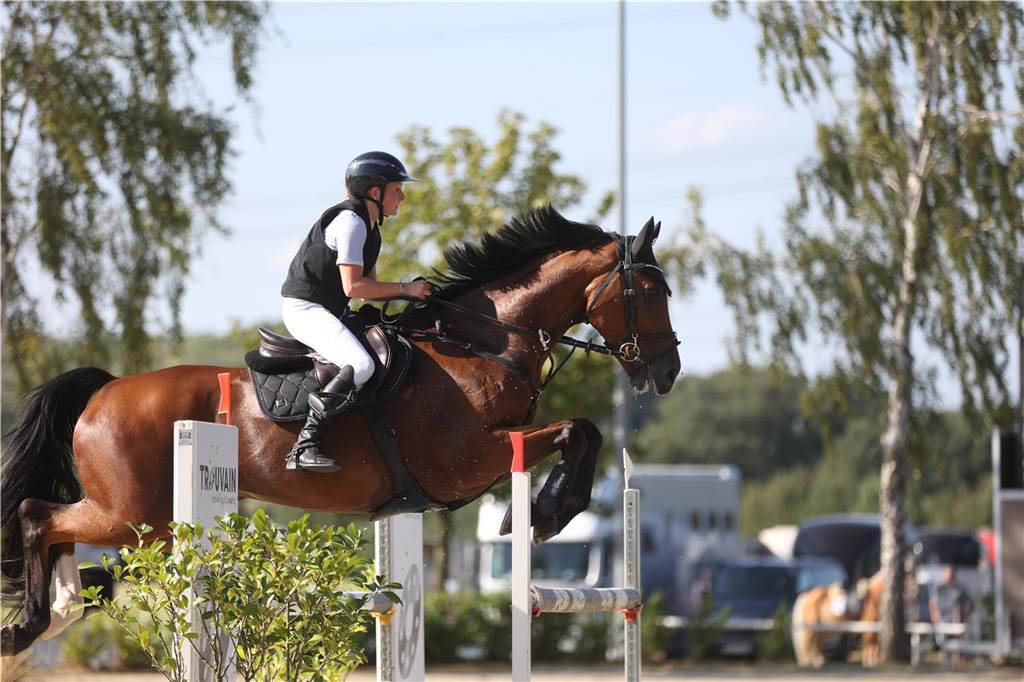 Beim S*-Springen am Freitag und M*-Springen am Samstag stellten auch viele Lokalmatadoren wie Silvia und Lutz Gripshöver, Stephan Schwert (alle RFV St. Georg Werne), Niklas Braun, Rainer Peter (beide ZRFV Lützow Selm-Bork-Olfen), Frieda Heinrich und Marie Ligges (beide RFV von Nagel Herbern) ihr Können unter Beweis.