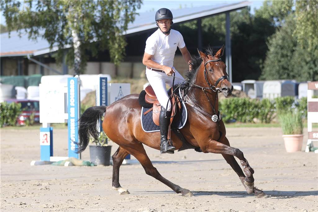 Beim S*-Springen am Freitag und M*-Springen am Samstag stellten auch viele Lokalmatadoren wie Silvia und Lutz Gripshöver, Stephan Schwert (alle RFV St. Georg Werne), Niklas Braun, Rainer Peter (beide ZRFV Lützow Selm-Bork-Olfen), Frieda Heinrich und Marie Ligges (beide RFV von Nagel Herbern) ihr Können unter Beweis.