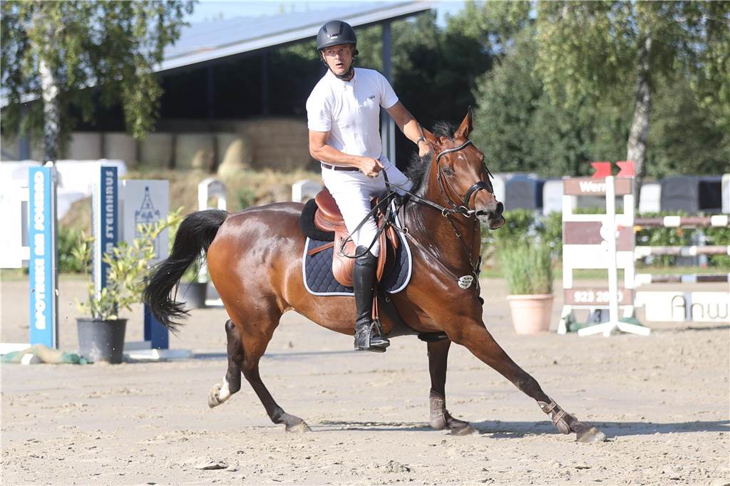 Beim S*-Springen am Freitag und M*-Springen am Samstag stellten auch viele Lokalmatadoren wie Silvia und Lutz Gripshöver, Stephan Schwert (alle RFV St. Georg Werne), Niklas Braun, Rainer Peter (beide ZRFV Lützow Selm-Bork-Olfen), Frieda Heinrich und Marie Ligges (beide RFV von Nagel Herbern) ihr Können unter Beweis.