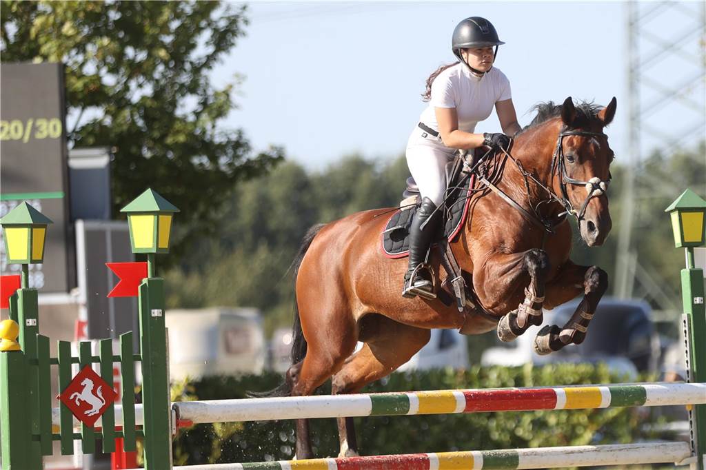 Beim S*-Springen am Freitag und M*-Springen am Samstag stellten auch viele Lokalmatadoren wie Silvia und Lutz Gripshöver, Stephan Schwert (alle RFV St. Georg Werne), Niklas Braun, Rainer Peter (beide ZRFV Lützow Selm-Bork-Olfen), Frieda Heinrich und Marie Ligges (beide RFV von Nagel Herbern) ihr Können unter Beweis.