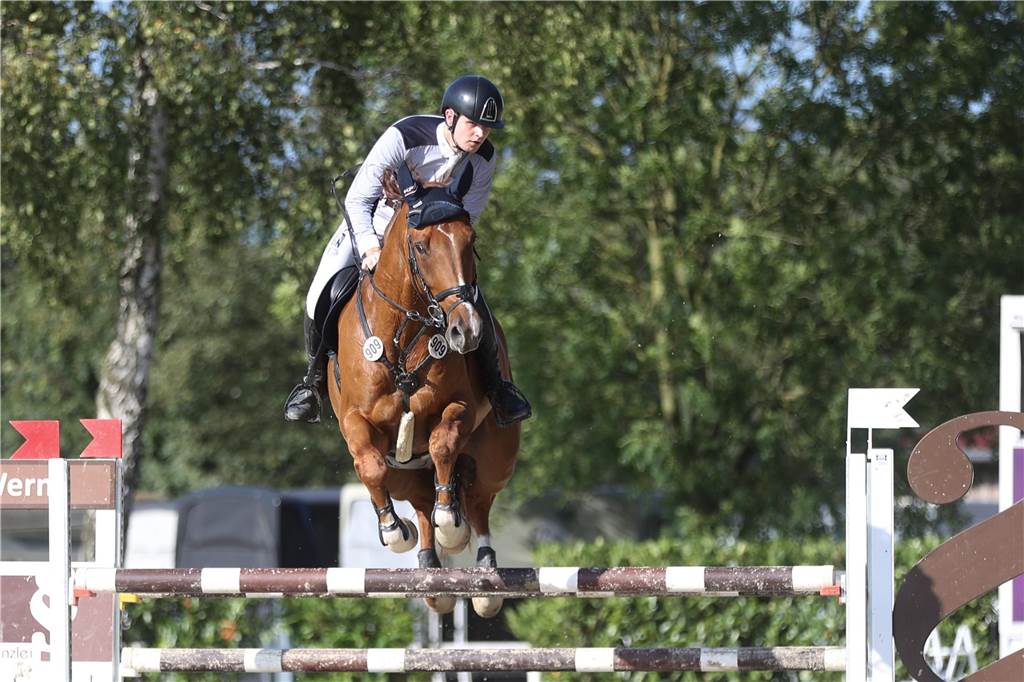 Beim S*-Springen am Freitag und M*-Springen am Samstag stellten auch viele Lokalmatadoren wie Silvia und Lutz Gripshöver, Stephan Schwert (alle RFV St. Georg Werne), Niklas Braun, Rainer Peter (beide ZRFV Lützow Selm-Bork-Olfen), Frieda Heinrich und Marie Ligges (beide RFV von Nagel Herbern) ihr Können unter Beweis.