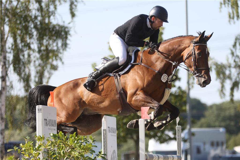 Beim S*-Springen am Freitag und M*-Springen am Samstag stellten auch viele Lokalmatadoren wie Silvia und Lutz Gripshöver, Stephan Schwert (alle RFV St. Georg Werne), Niklas Braun, Rainer Peter (beide ZRFV Lützow Selm-Bork-Olfen), Frieda Heinrich und Marie Ligges (beide RFV von Nagel Herbern) ihr Können unter Beweis.