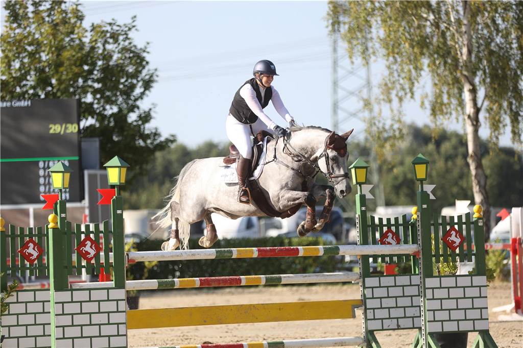 Beim S*-Springen am Freitag und M*-Springen am Samstag stellten auch viele Lokalmatadoren wie Silvia und Lutz Gripshöver, Stephan Schwert (alle RFV St. Georg Werne), Niklas Braun, Rainer Peter (beide ZRFV Lützow Selm-Bork-Olfen), Frieda Heinrich und Marie Ligges (beide RFV von Nagel Herbern) ihr Können unter Beweis.