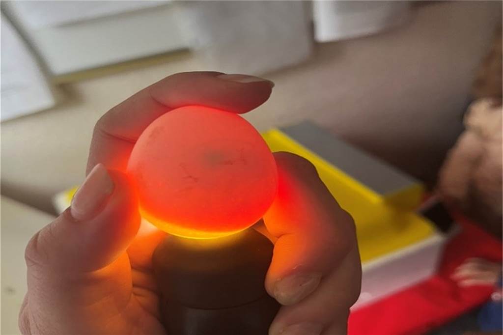 Ein Hahn, vier Hennen und das erste Ei - Kinder lieben ihre Hühnerschar Beim Schieren (Durchleuchten) der Eier wurden die Adern und zarten Küken-Umrisse sichtbar.