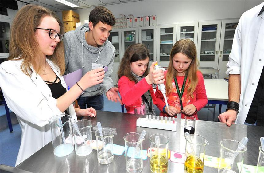Beim Tag der offenen Tür im Fiedrich-Bährens-Gymnasium konnten die Viertklässler verschiedene Stationen besuchen und sich an Aufgaben versuchen.