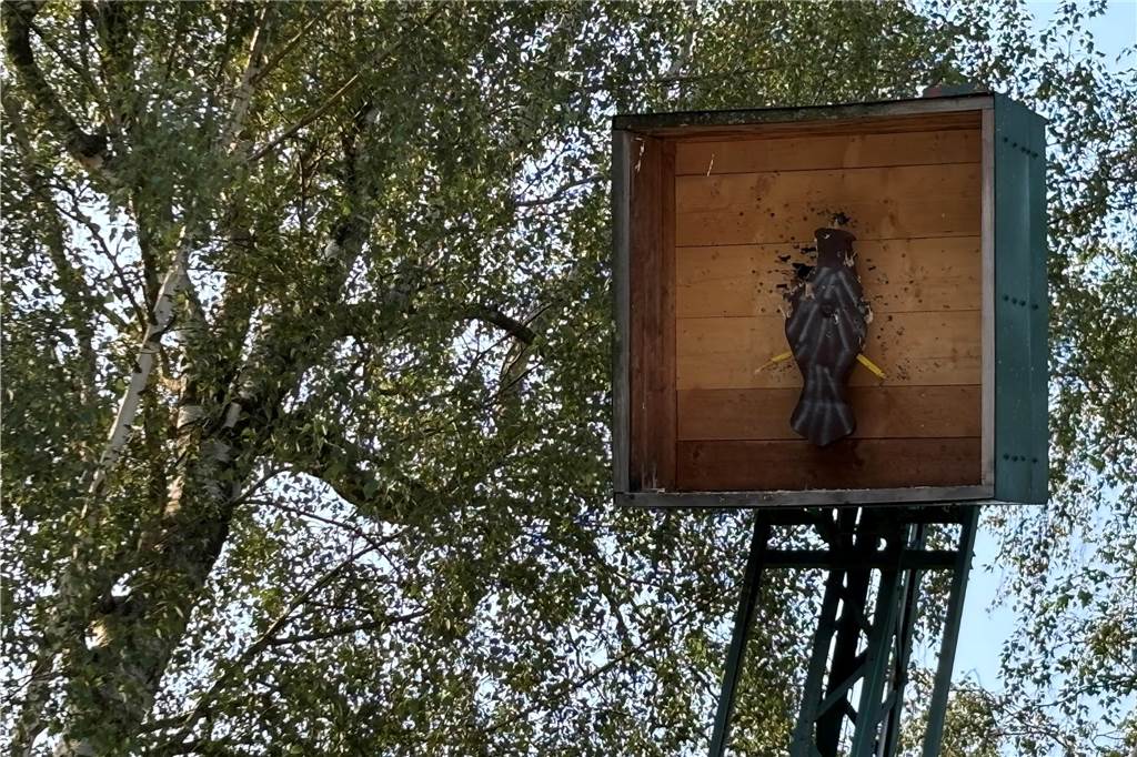 Dem Vogel fehlen bereits beide Flügel.