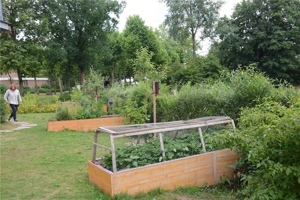 Große Pläne: So schön soll der Bürgerpark in Dorsten werden Bernd Pape wird mit den Bewohnern des LWL-Wohnhauses den Essbaren Garten noch mehr zum Schmuckstück machen.