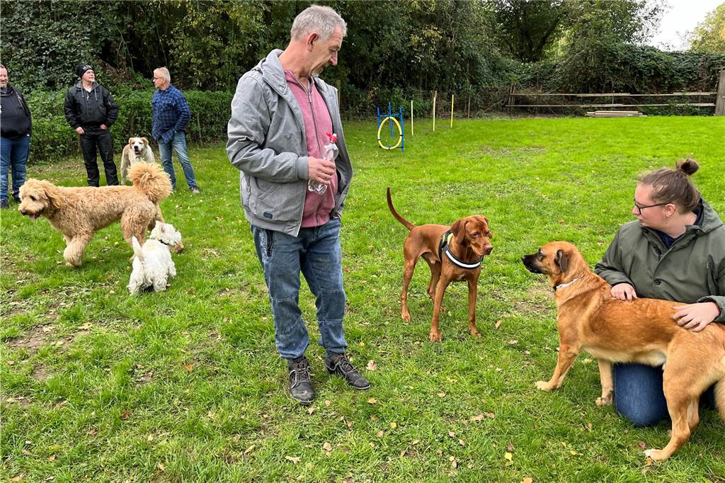 Schnupperstunde auf neuer Hundewiese: Verein freut sich über Resonanz Beschnuppern, austarieren - am ersten Tag war die Aufregung mitunter unter den Hunden groß.