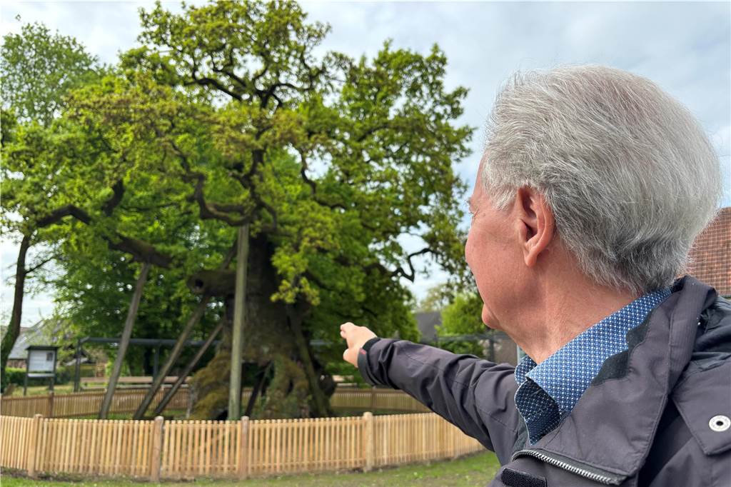 Mit Carlo Behler durch den neuen Femeichenpark in Erle Carlo Behler vom Heimatverein Erle zeigt auf die Femeiche