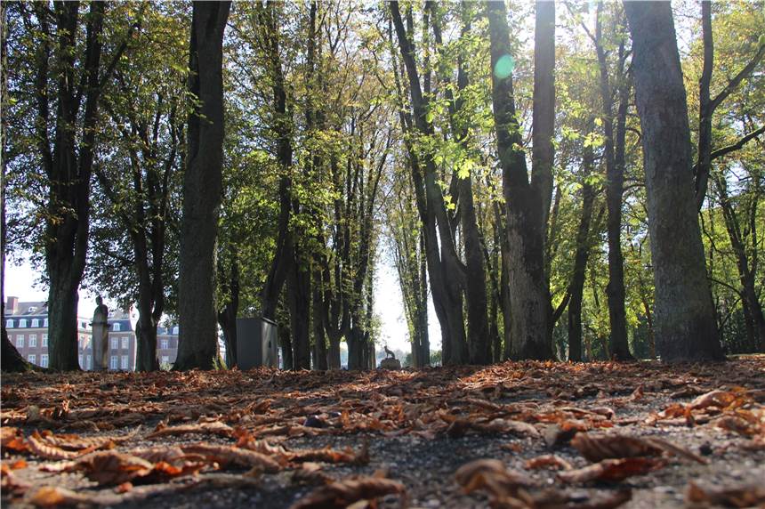 Quarantäne einfach ignoriert: Nordkirchener muss mit Strafe rechnen Besuche im Park von Schloss Nordkirchen sind noch erlaubt, allerdings nur alleine, mit Familienmitgliedern oder maximal zu zweit. Daran scheinen sich die Nordkirchener zu halten. Einen Verstoß musste die Gemeinde am Wochenende trotzdem zur Anzeige bringen.