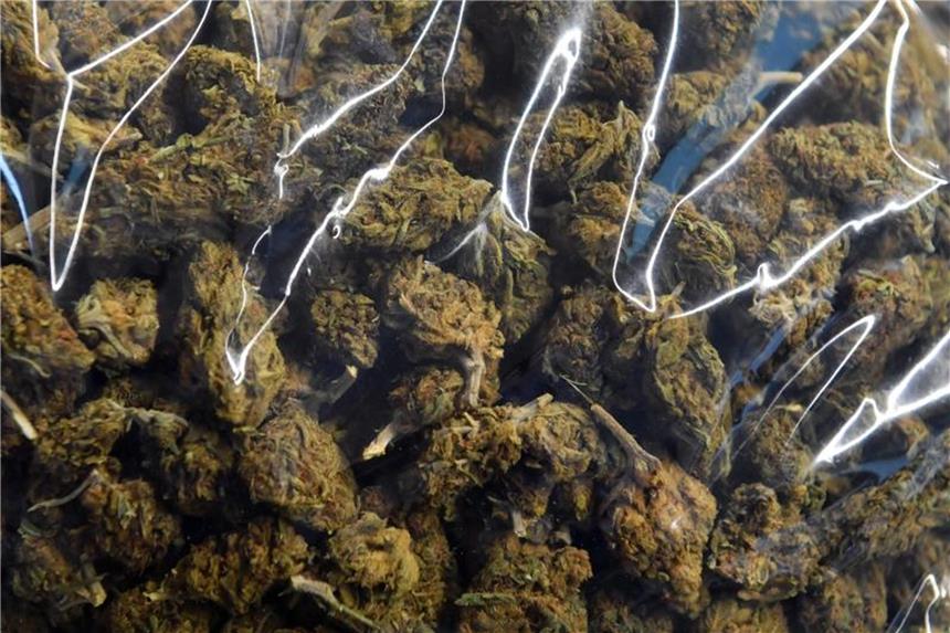 Drogendepot in Düsseldorf ausgehoben: 140 Kilo Cannabis Beutel mit Marihuana werden gezeigt. Foto: Hendrik Schmidt/Archiv