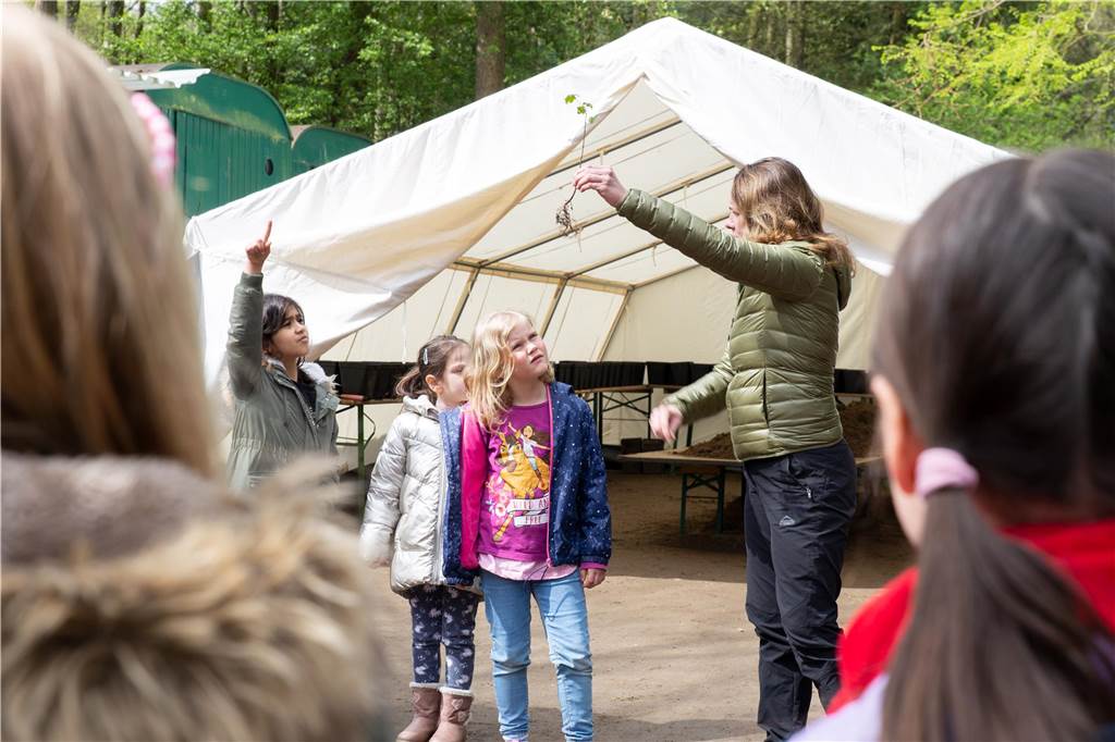 2.600 Setzlinge für Bottroper Wälder: Kinder werden zu Baumpaten Bevor es an das Pflanzen geht, lernen die Schülerinnen und Schüler einiges über die Entwicklung ihrer künftigen Bäumchen.