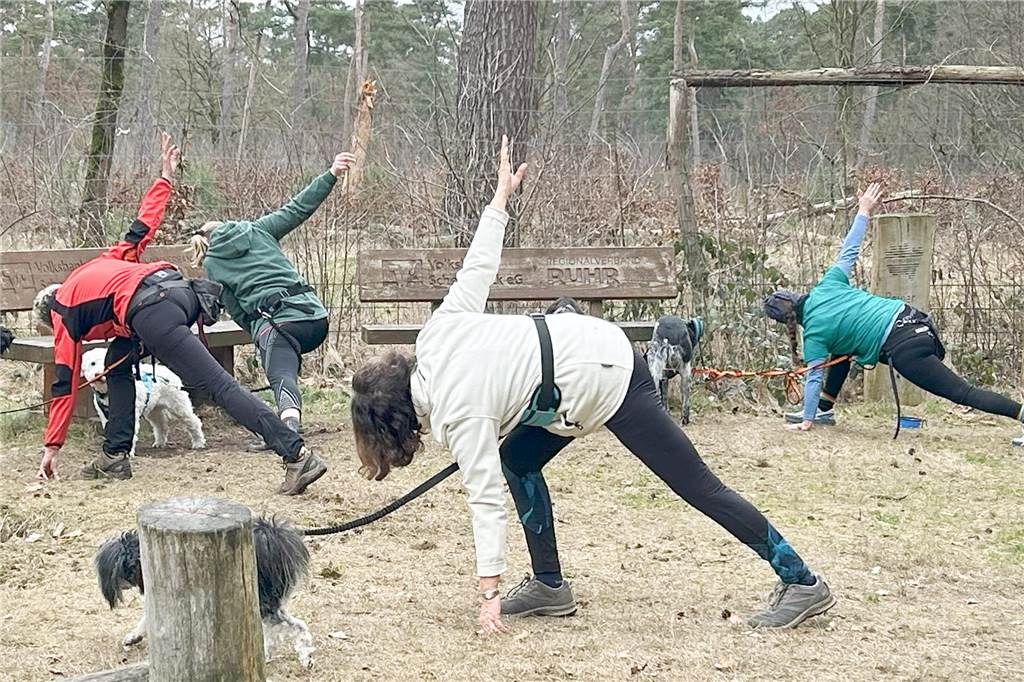 Die Gassi-Runde wird zum Fitnesstraining: Dorstenerinnen bieten Sport mit Hund an Teilnehmer des Fitwalk dehnen sich