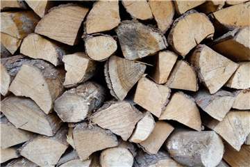 Bevor frisches Holz in den Ofen darf, muss es ein bis zwei Jahre gestapelt trocknen. Foto: Andrea Warnecke