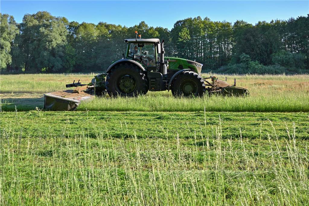 Bevor Landwirte im Frühjahr ihr Grünland mähen, müssen sie die Felder nach dort versteckten Rehkitzen absuchen. 