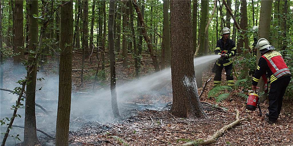 Feuerwehr verhindert Waldbrand im Bornekamp Feuerwehr verhindert Waldbrand im Bornekamp