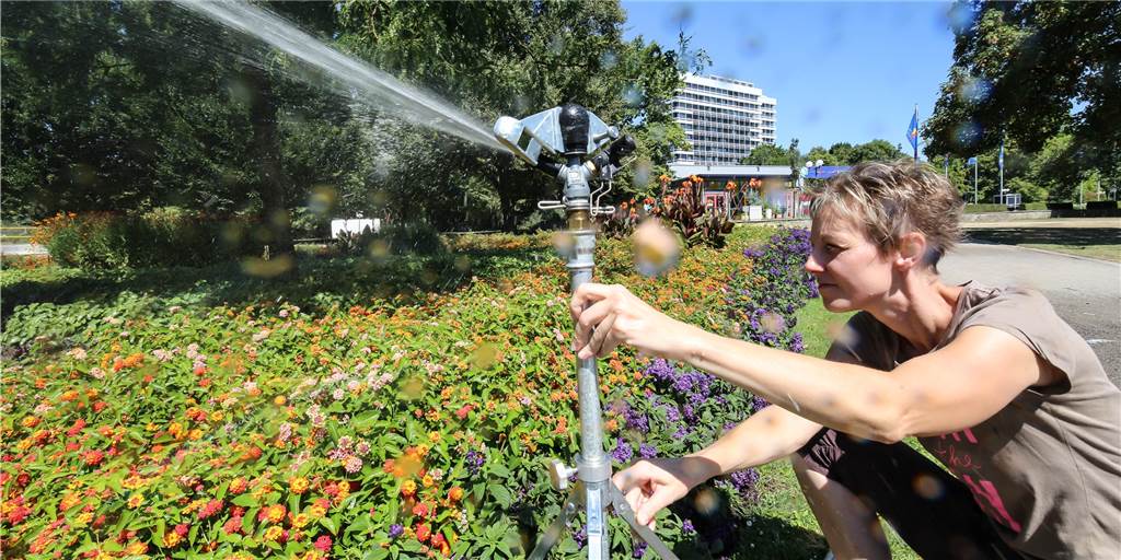 So kämpfen Gärtner gegen die Trockenheit in Dortmunds Parks So kämpfen Gärtner gegen die Trockenheit in Dortmunds Parks
