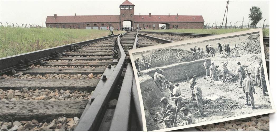 Seltene Bilder aus dem Todeslager Auschwitz in Castrop-Rauxel aufgetaucht Seltene Bilder aus dem Todeslager Auschwitz in Castrop-Rauxel aufgetaucht