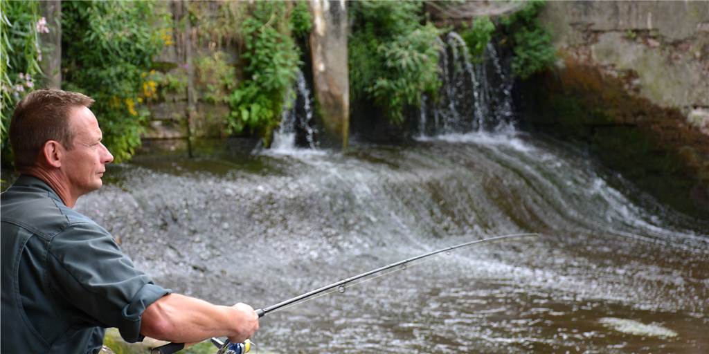 Sommerhitze stresste Fische und Angler Sommerhitze stresste Fische und Angler
