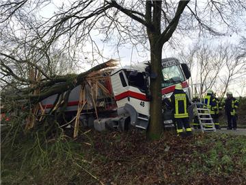 LKW prallt gegen Baum