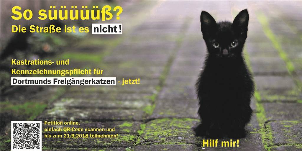 Postkarten-Aktion wirbt für Kastrationspflicht von Freigängerkatzen Postkarten-Aktion wirbt für Kastrationspflicht von Freigängerkatzen