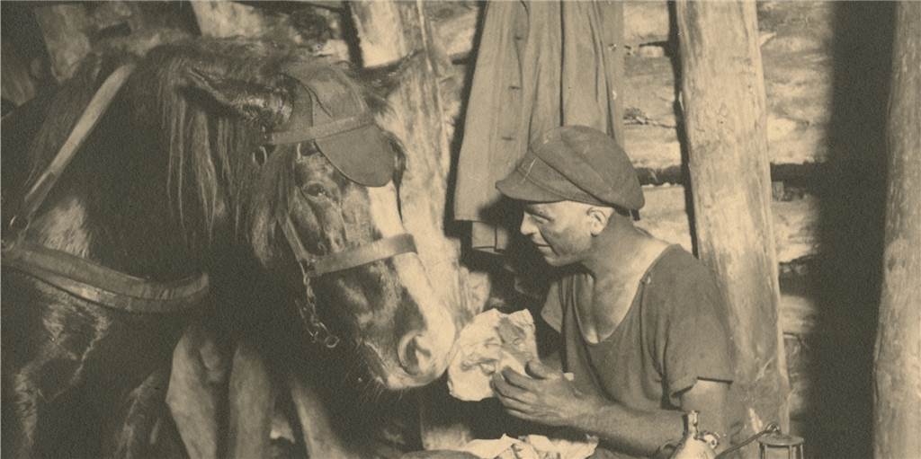 Mit dem Grubenpferd allein auf der Wettersohle Mit dem Grubenpferd allein auf der Wettersohle