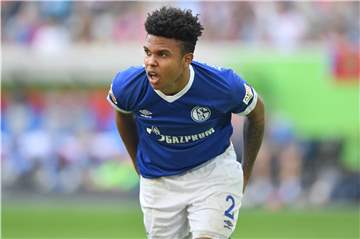 Weston McKennie in Top-Form - „Er verkörpert vieles von dem, wofür Schalke steht“