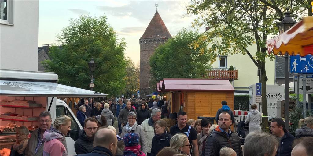 Großes Geschnatter erwartet die Besucher in Haltern beim Gänsemarkt Großes Geschnatter erwartet die Besucher in Haltern beim Gänsemarkt