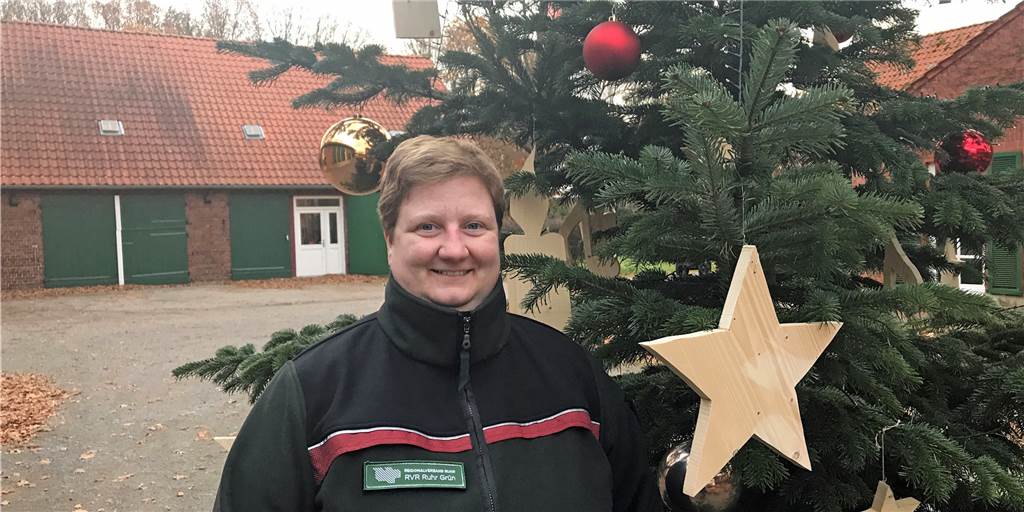 Preise für Weihnachtsbäume steigen trotz Dürre nur leicht Preise für Weihnachtsbäume steigen trotz Dürre nur leicht