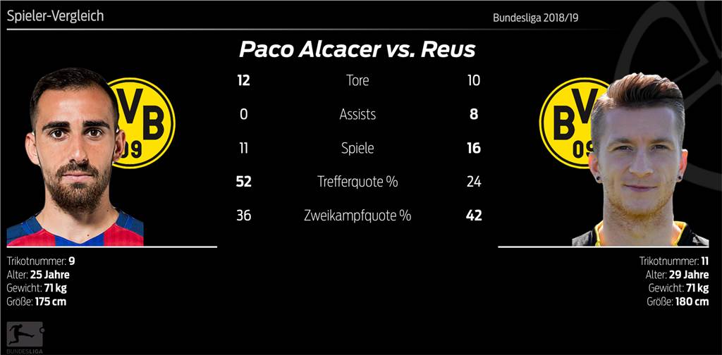 Nur BVB-Torjäger Paco Alcacer kann nach dem 1:2 gegen Düsseldorf jubeln Nur BVB-Torjäger Paco Alcacer kann nach dem 1:2 gegen Düsseldorf jubeln