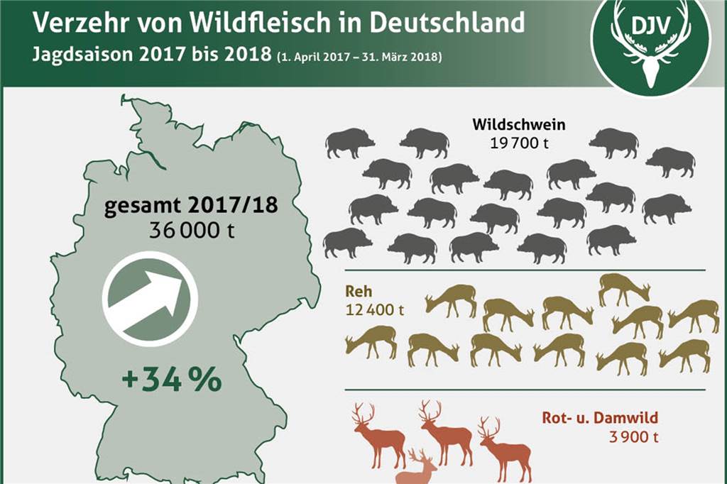 Vom Jagen, Schlachten und Zerlegen - unterwegs mit Jäger und Metzger Markus Schmidt Vom Jagen, Schlachten und Zerlegen - unterwegs mit Jäger und Metzger Markus Schmidt