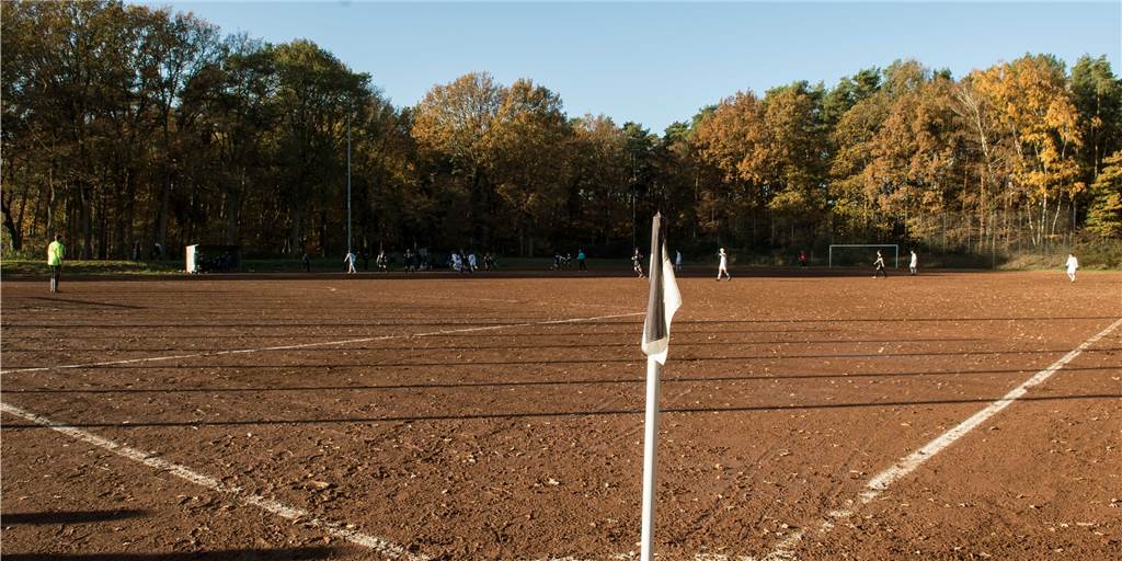 Der SV Lippramsdorf rechnet mit 25.000 Euro an Eigenleistung für den Kunstrasenbau Der SV Lippramsdorf rechnet mit 25.000 Euro an Eigenleistung für den Kunstrasenbau