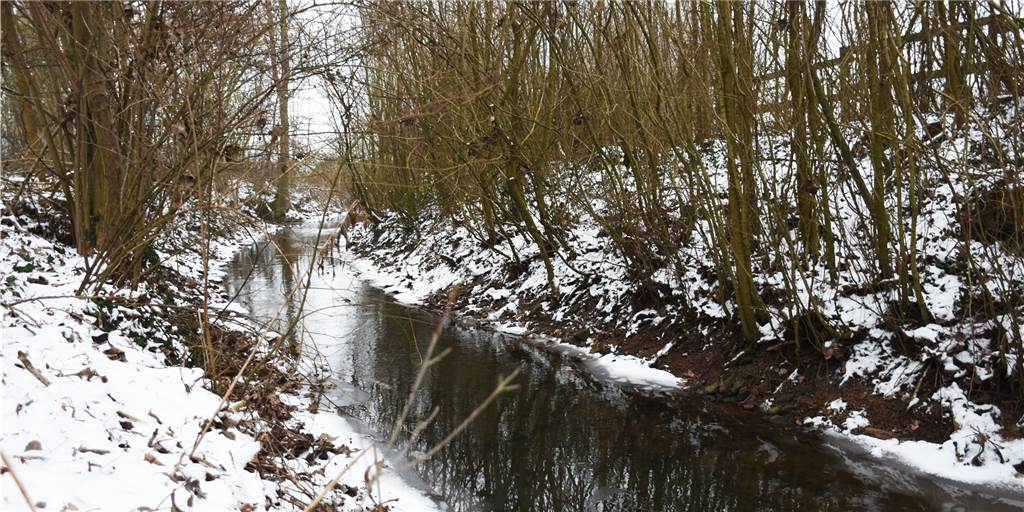 Behörden sehen beim ausgetrockneten Ölbach in Doemern keinen Handlungsbedarf Behörden sehen beim ausgetrockneten Ölbach in Doemern keinen Handlungsbedarf