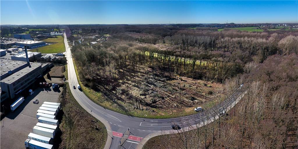 Rodungen für Stolzenhoff-Neubau: Naturschützer sind „gewaltig verärgert“ über die Stadt Rodungen für Stolzenhoff-Neubau: Naturschützer sind „gewaltig verärgert“ über die Stadt