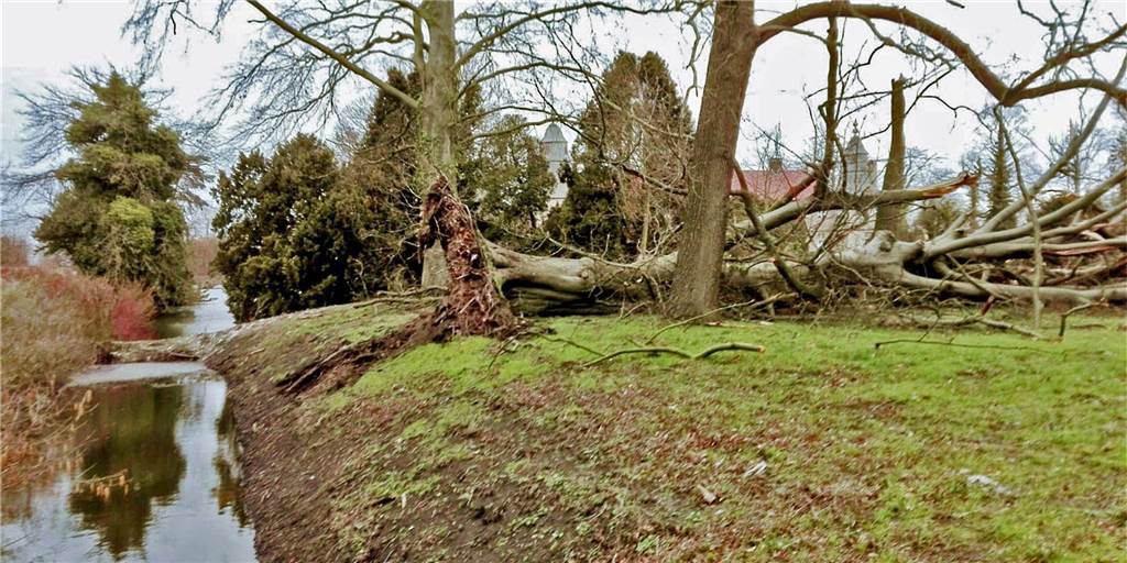 Vor Sturmtief „Franz“: Warnung für Spaziergänger im Schlosspark Westerwinkel Vor Sturmtief „Franz“: Warnung für Spaziergänger im Schlosspark Westerwinkel