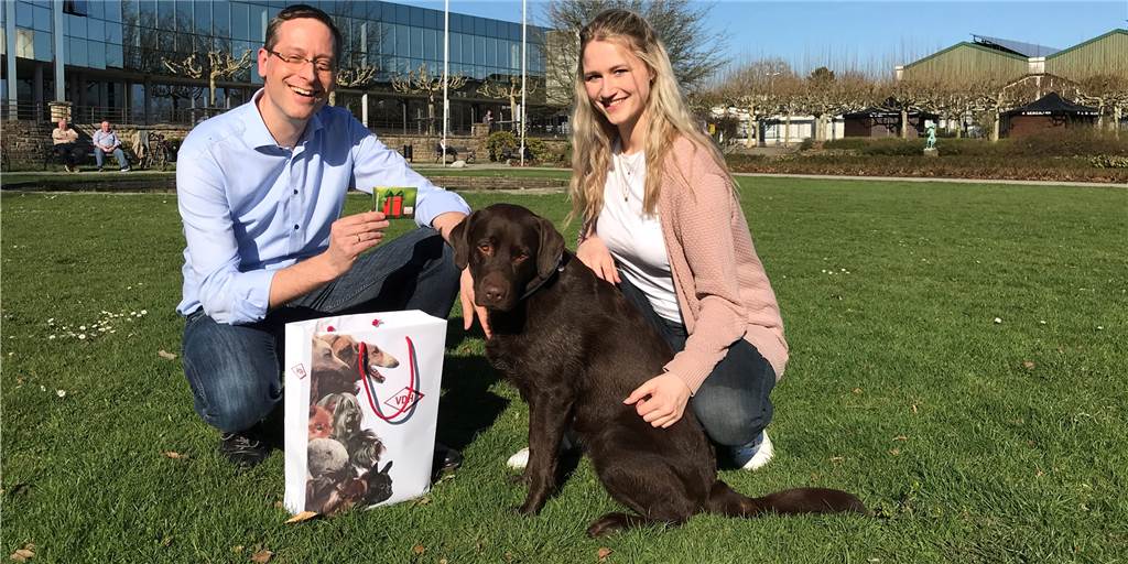 Labrador Bailey ist das perfekte Model auf vier Pfoten Labrador Bailey ist das perfekte Model auf vier Pfoten