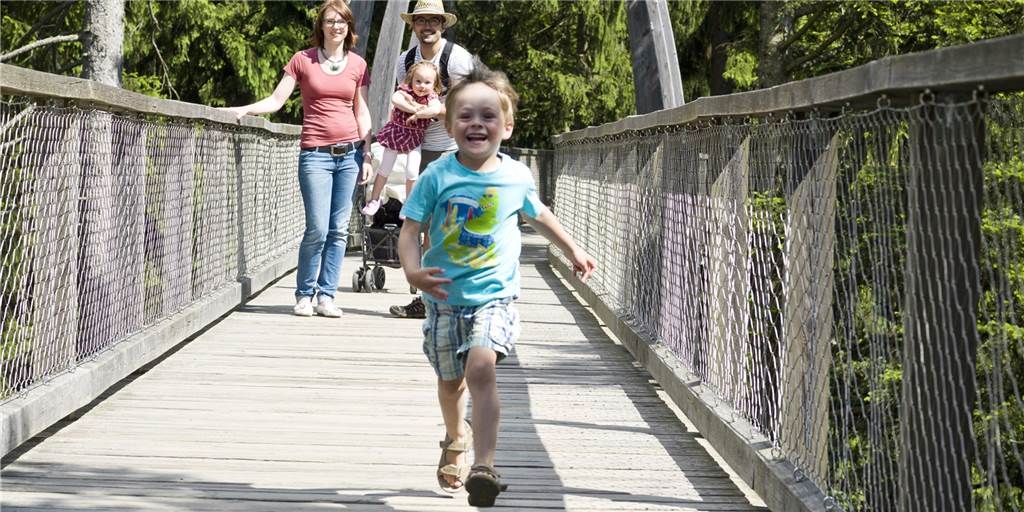Im Botanischen Garten Rombergpark können Besucher künftig zwischen den Baumwipfeln wandern Im Botanischen Garten Rombergpark können Besucher künftig zwischen den Baumwipfeln wandern