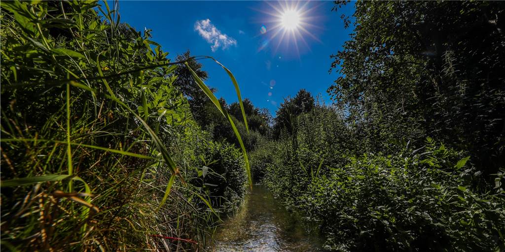 Dortmunds Planungsdezernent erteilt Waltroper Industriegebiet eine klare Absage Dortmunds Planungsdezernent erteilt Waltroper Industriegebiet eine klare Absage